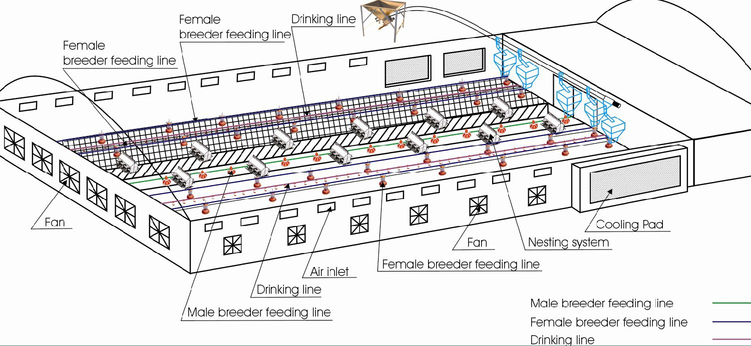 product-839-387 breeder.jpg